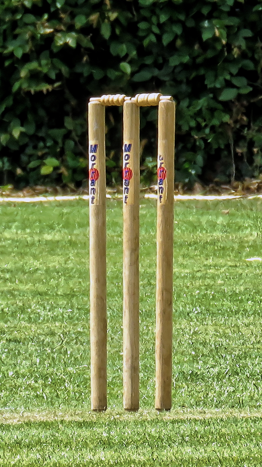 Cricket Terms Explained — 50+ Words You Must Know